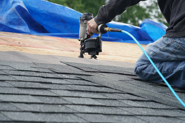 Best Metal Roofing Contractor  in Cypress Landing, NC