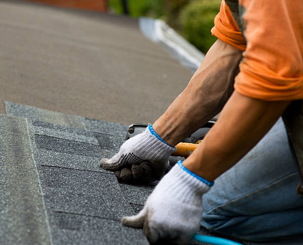 Best Storm Damage Roof Repair  in Cypress Landing, NC