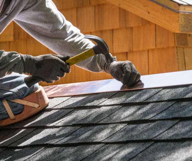 Best Roof Gutter Cleaning  in Cypress Landing, NC